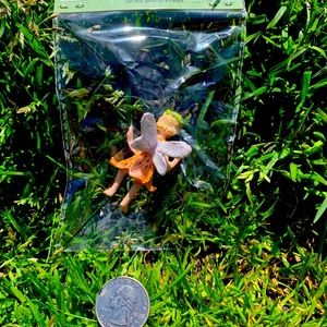 Set of 5 Fiddlehead Fairy Garden miniature Fairies on a pick.